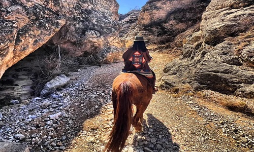 Camel-Riding